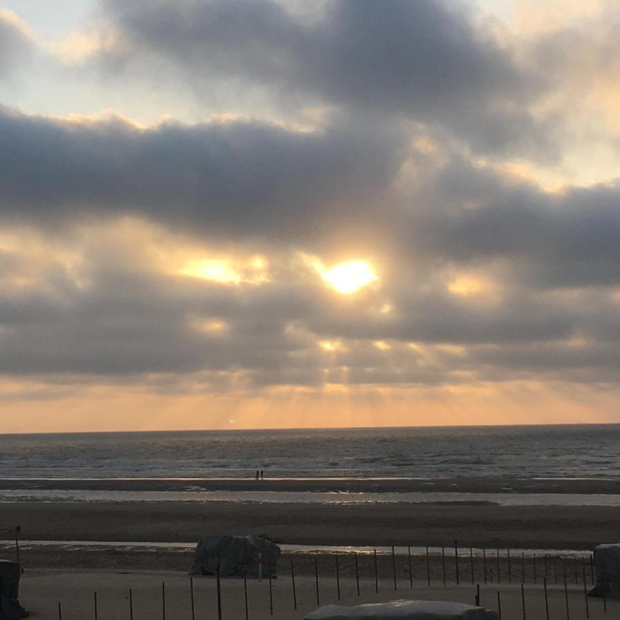 Knus Appartement Met Zicht Op Zeepolder De Haan Eksteriør bilde